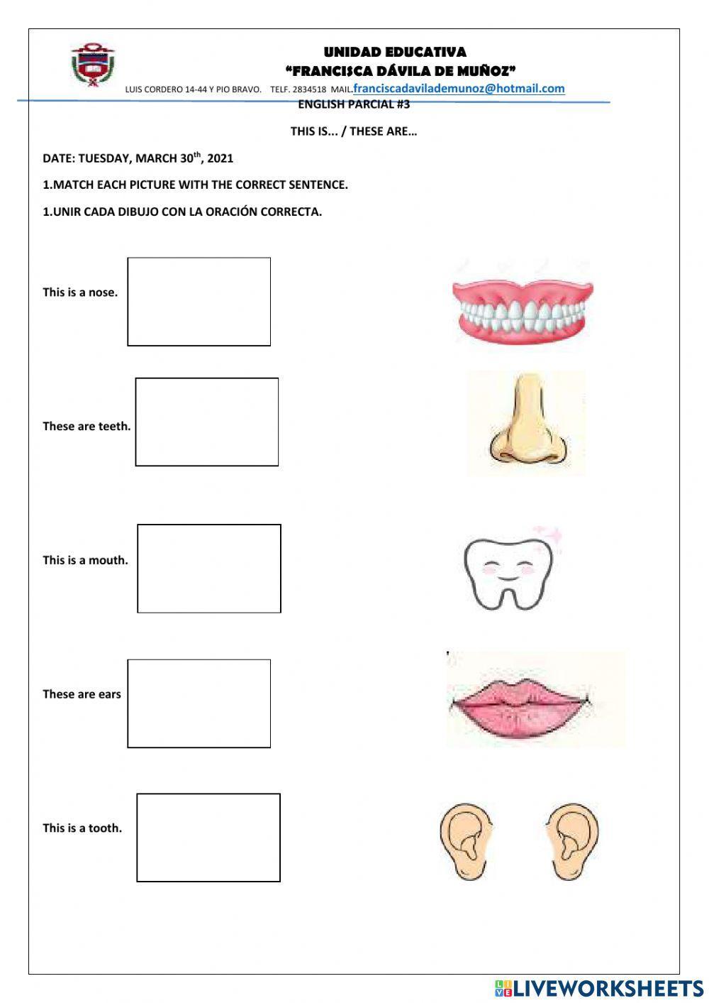 This is... These are + Human Body