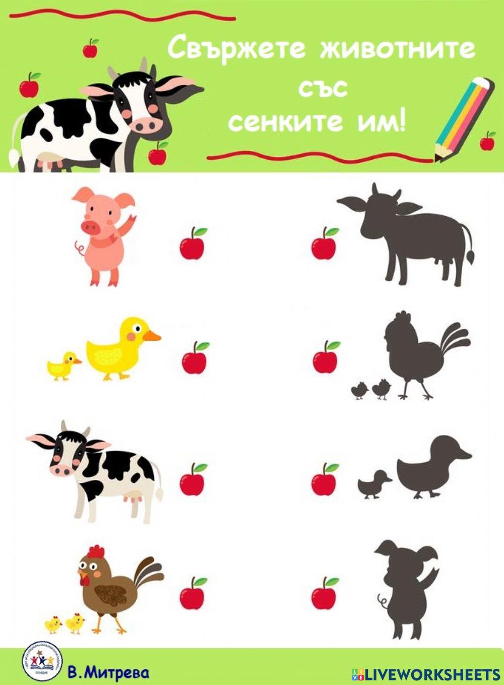 Свържете животните със сенките им!