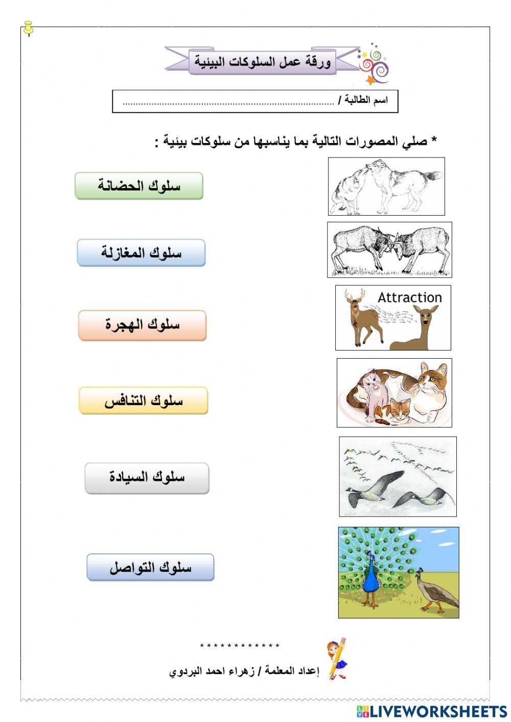 السلوكات البيئية