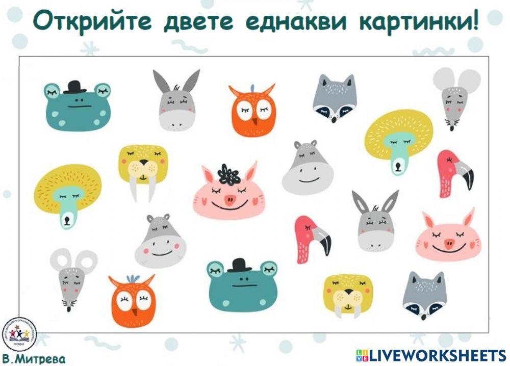 Открийте двете еднакви картинки!