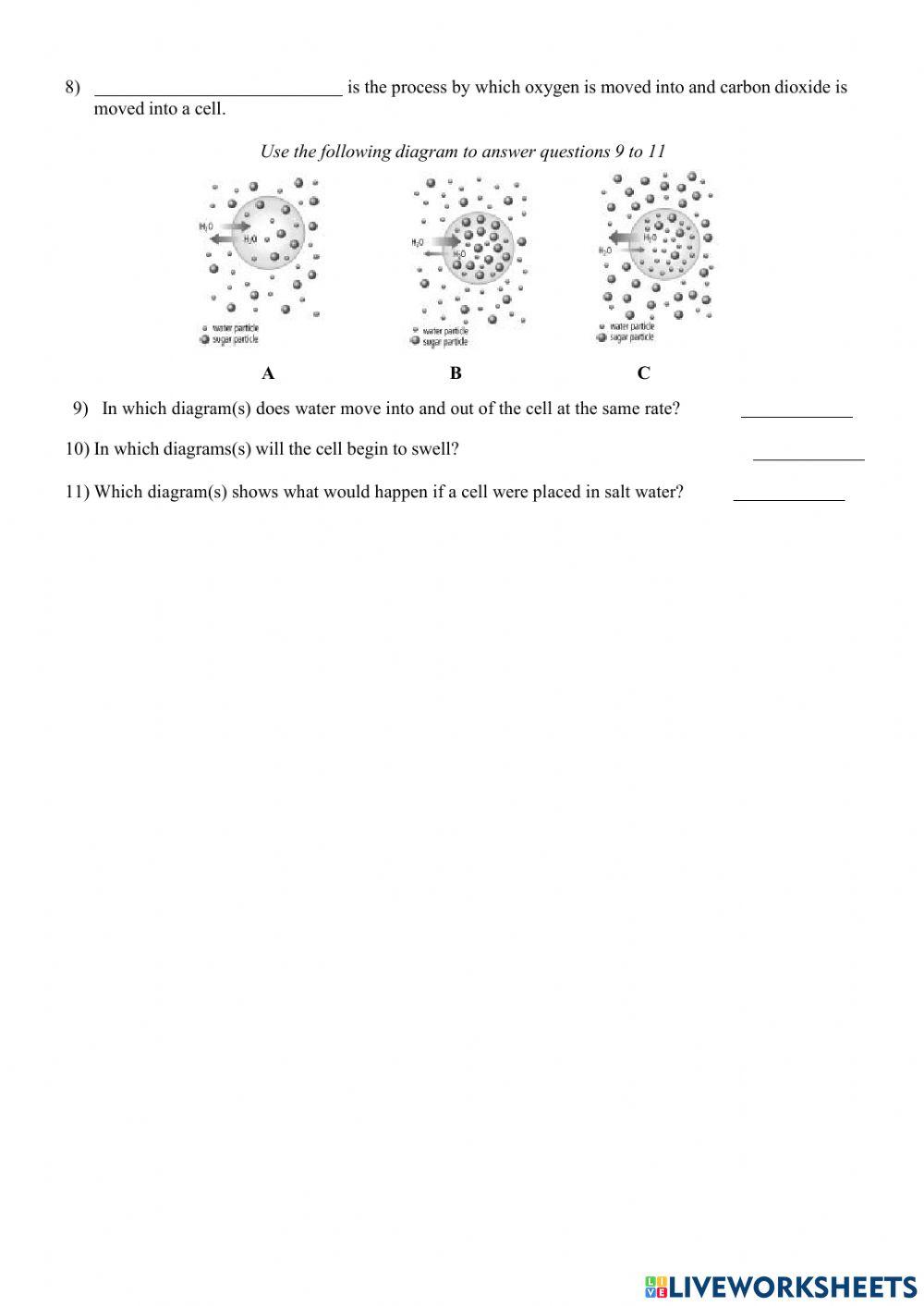 DIFFUSION, OSMOSIS ACTIVE TRANSPORT