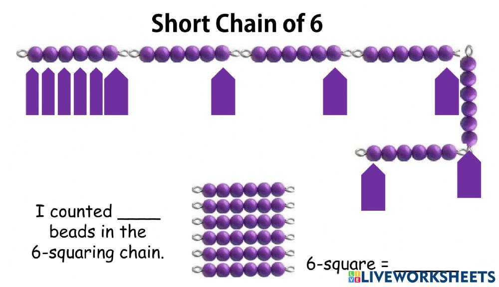Short Chain 6-7