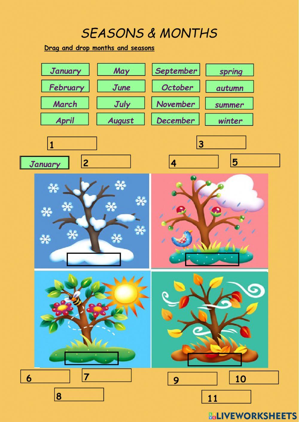 Seasons & months Seasons & months