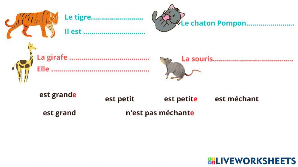 Masculin ou féminin