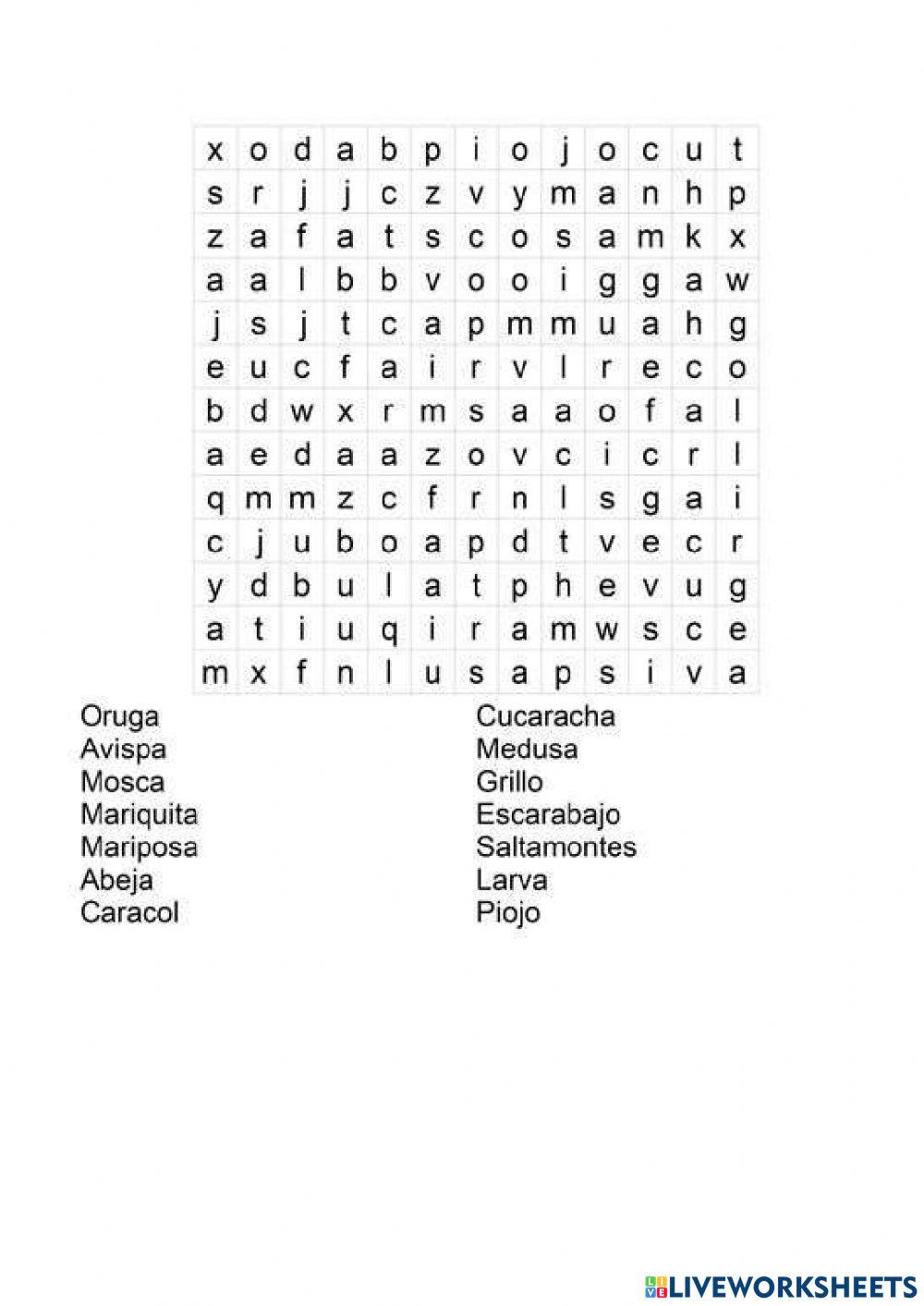 Animales invertebrados