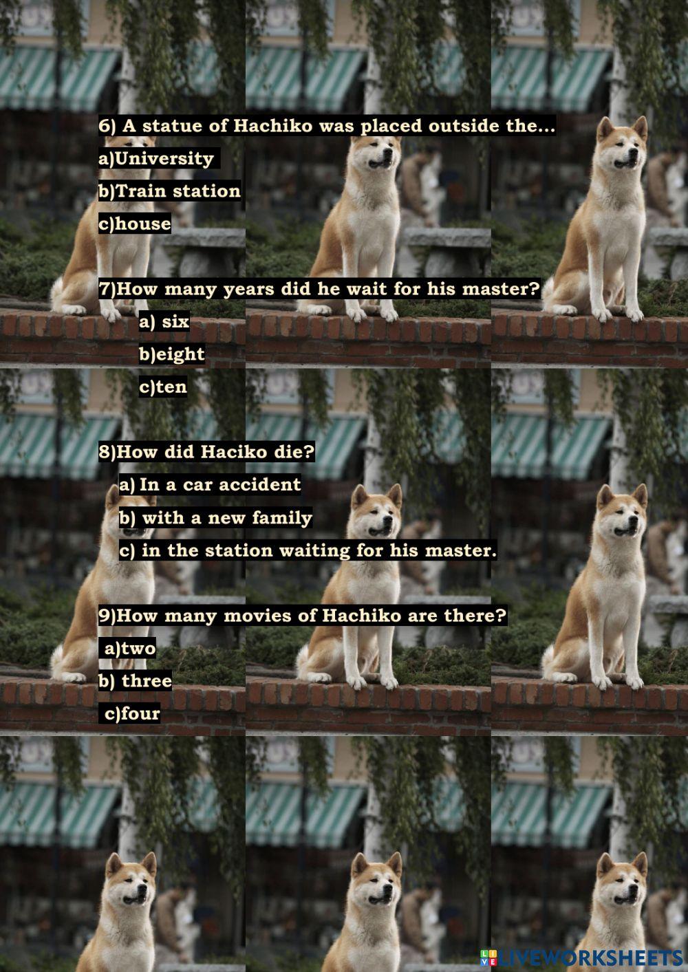 A special frienship: Hachiko