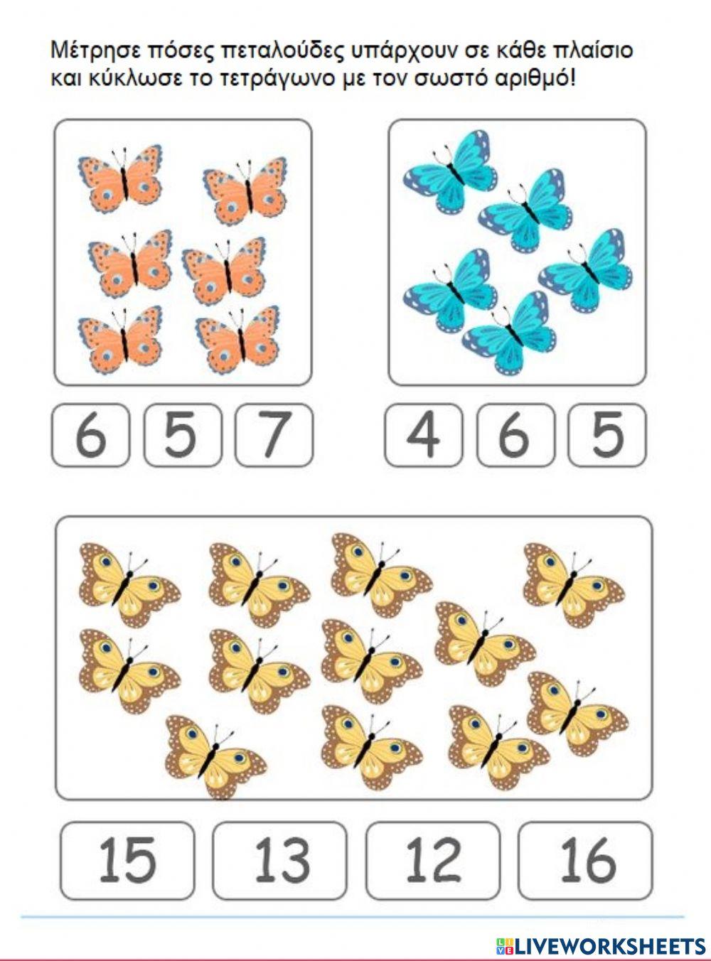 Πεταλούδα αριθμητική 2
