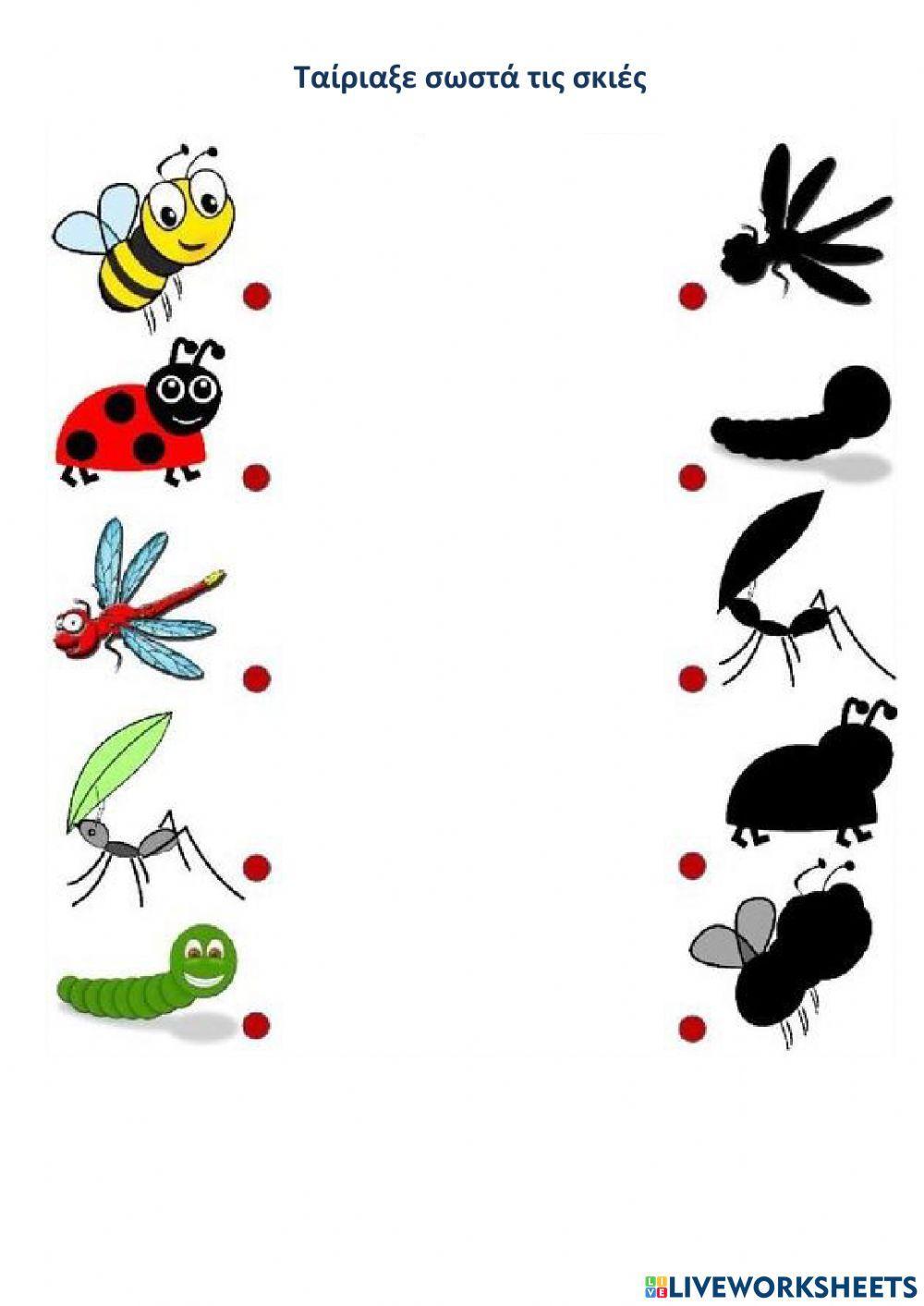 Αντιστοιχισε τα εντομα