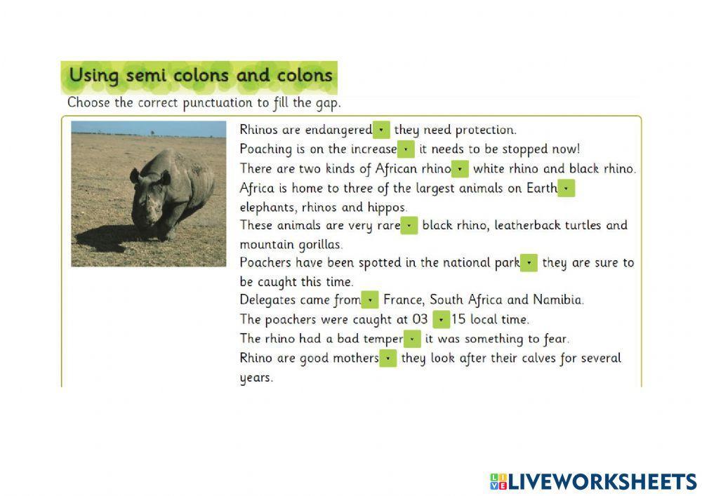 Grammar - Semi-colons and colons