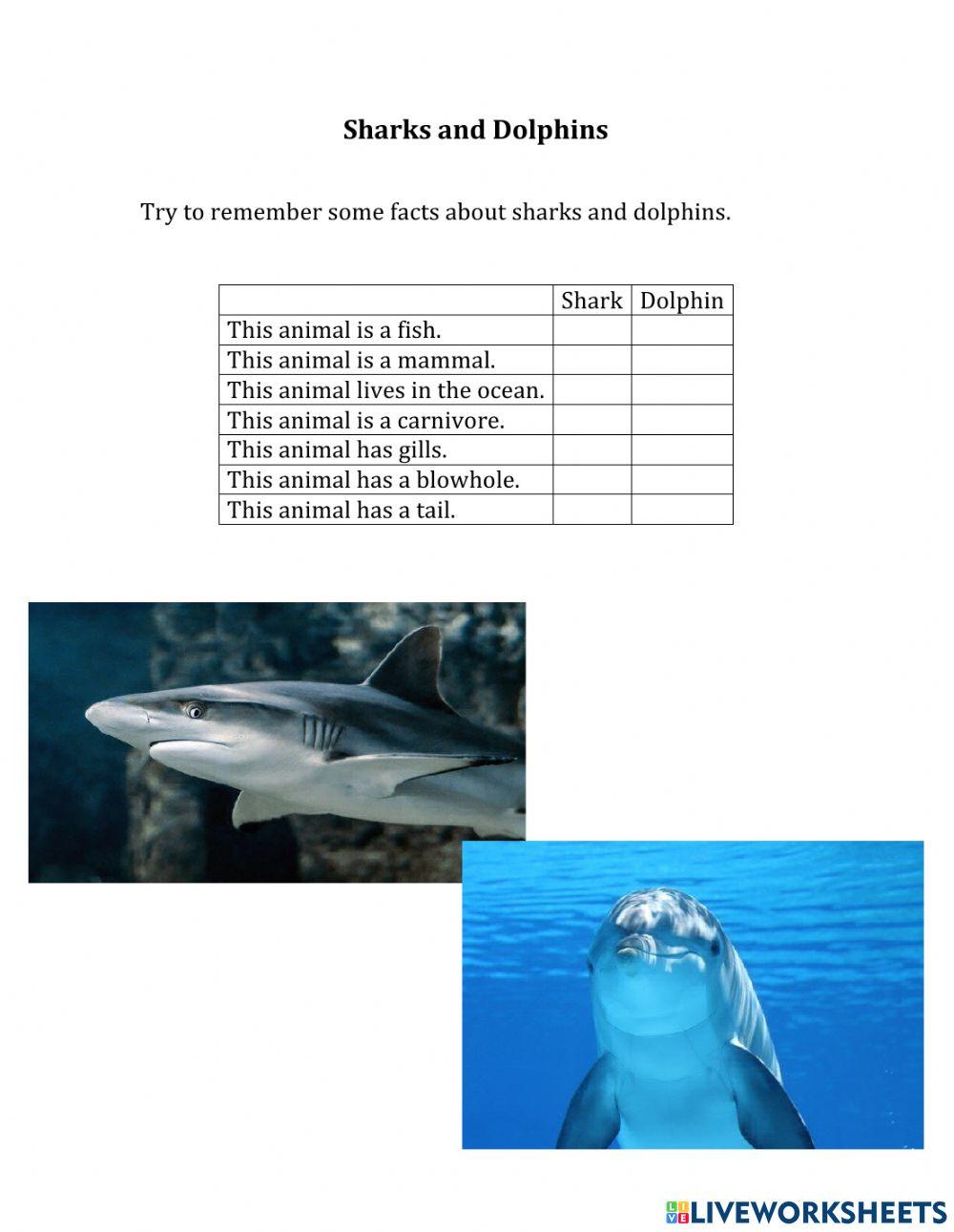 Sharks and Dolphins