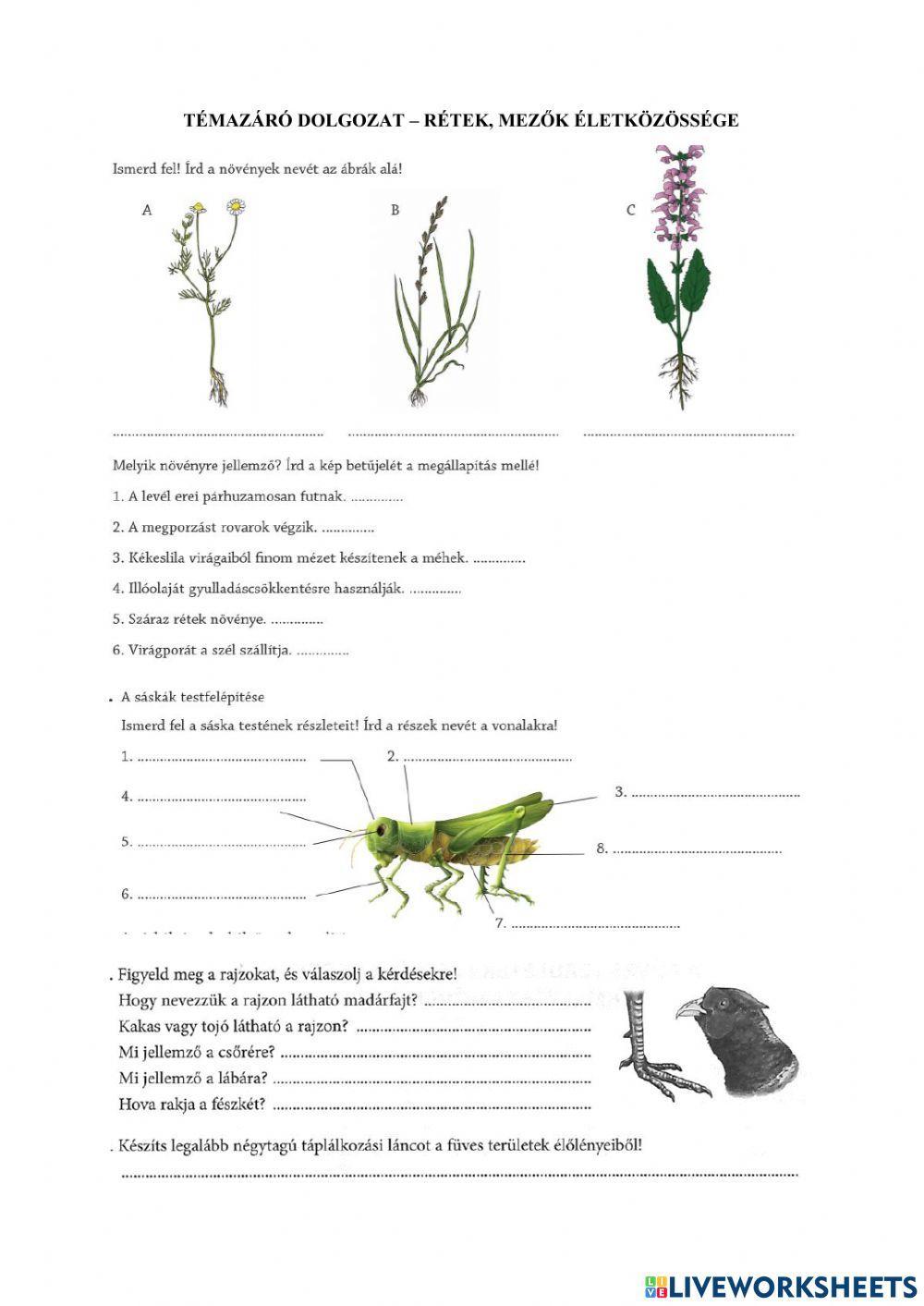 Rétek, mezők életközössége