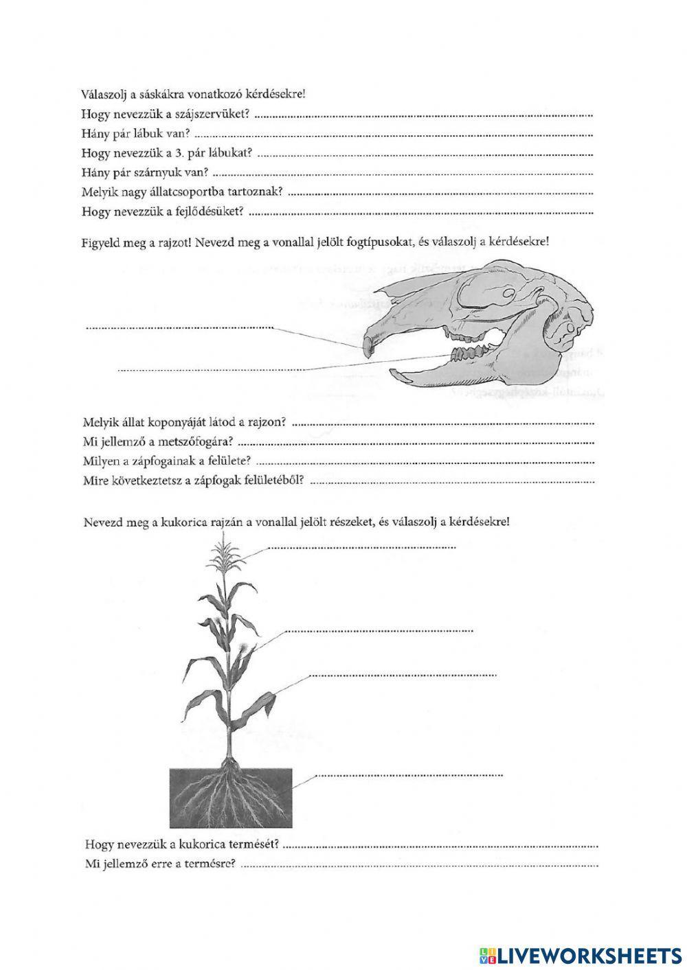 Rétek, mezők életközössége