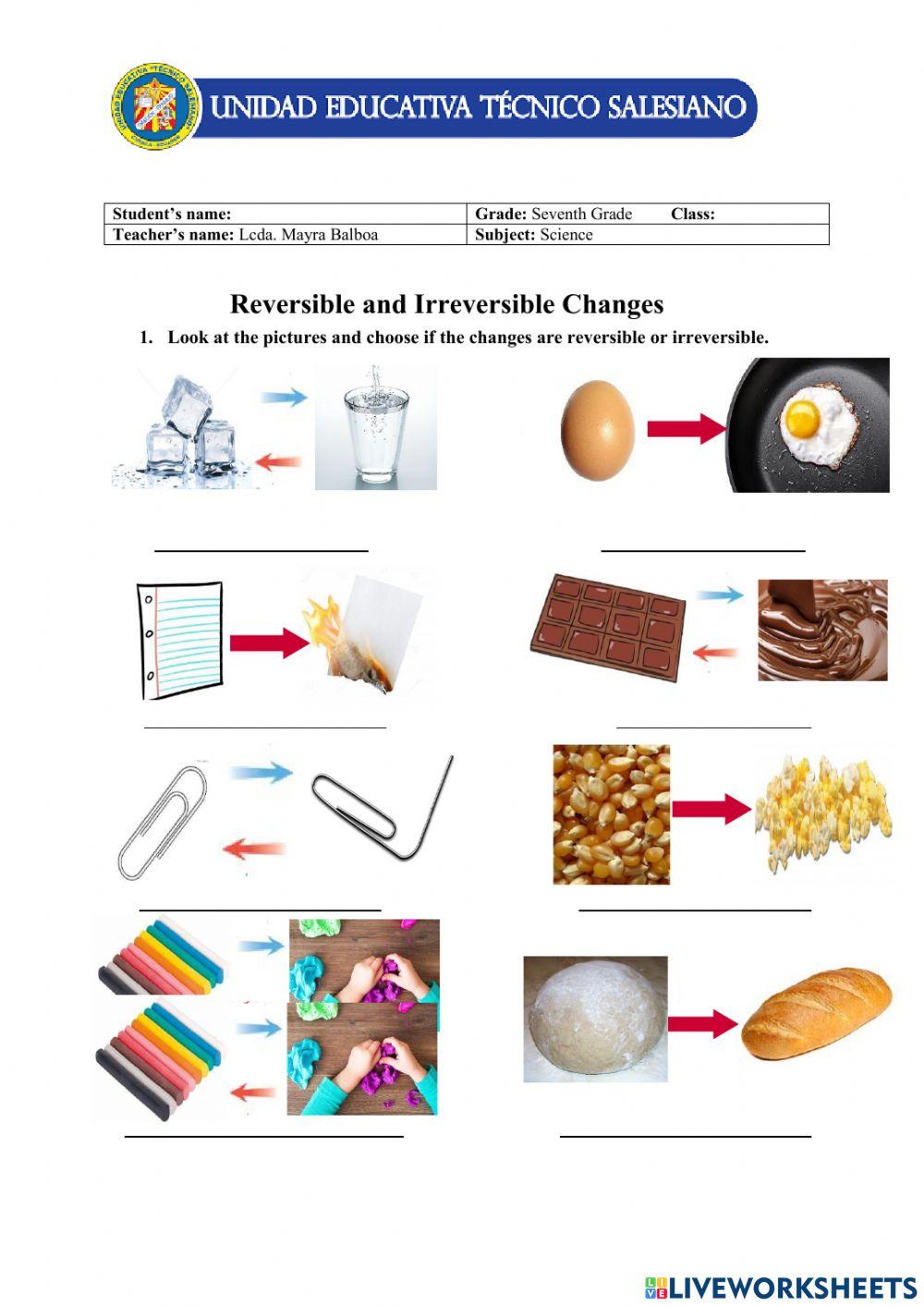 Reversible And Irreversible Changes Printable