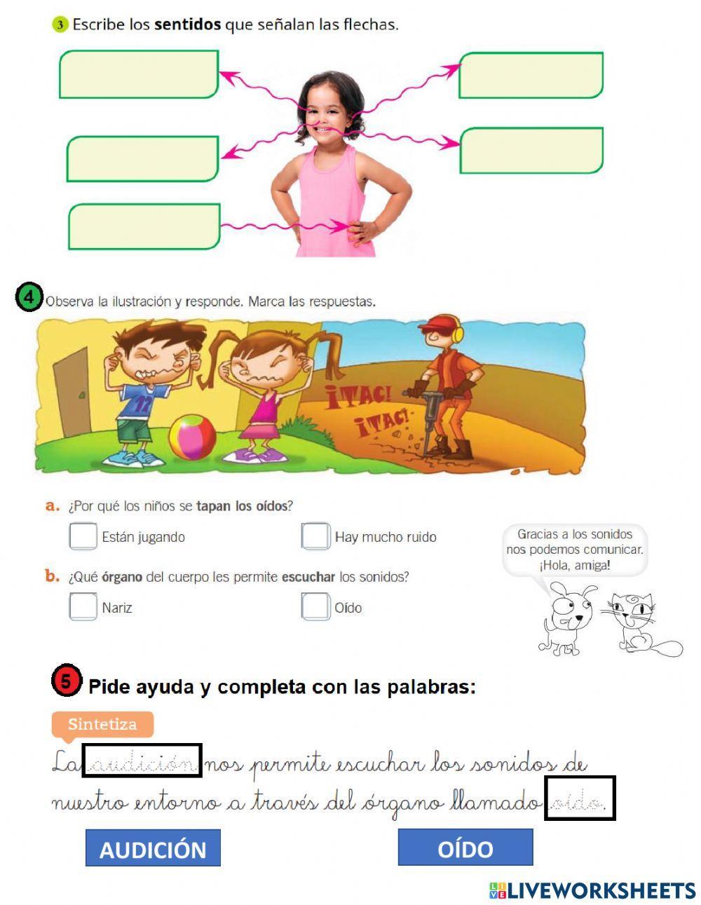 1°ciencias naturales los sentidos 31.03.2021