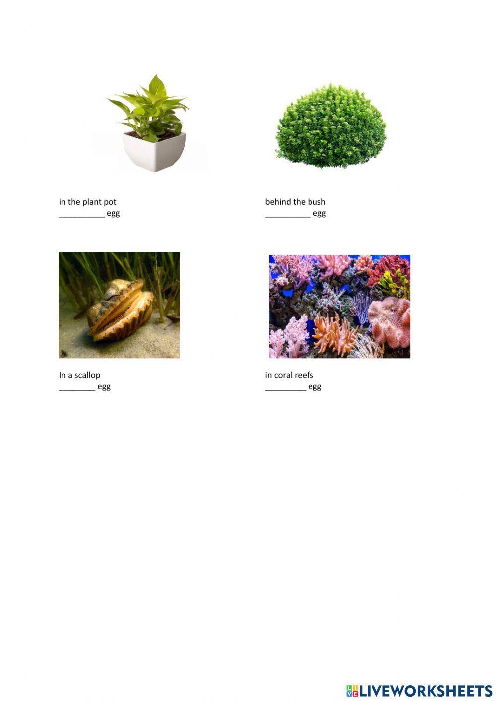 Easter egg hunt song