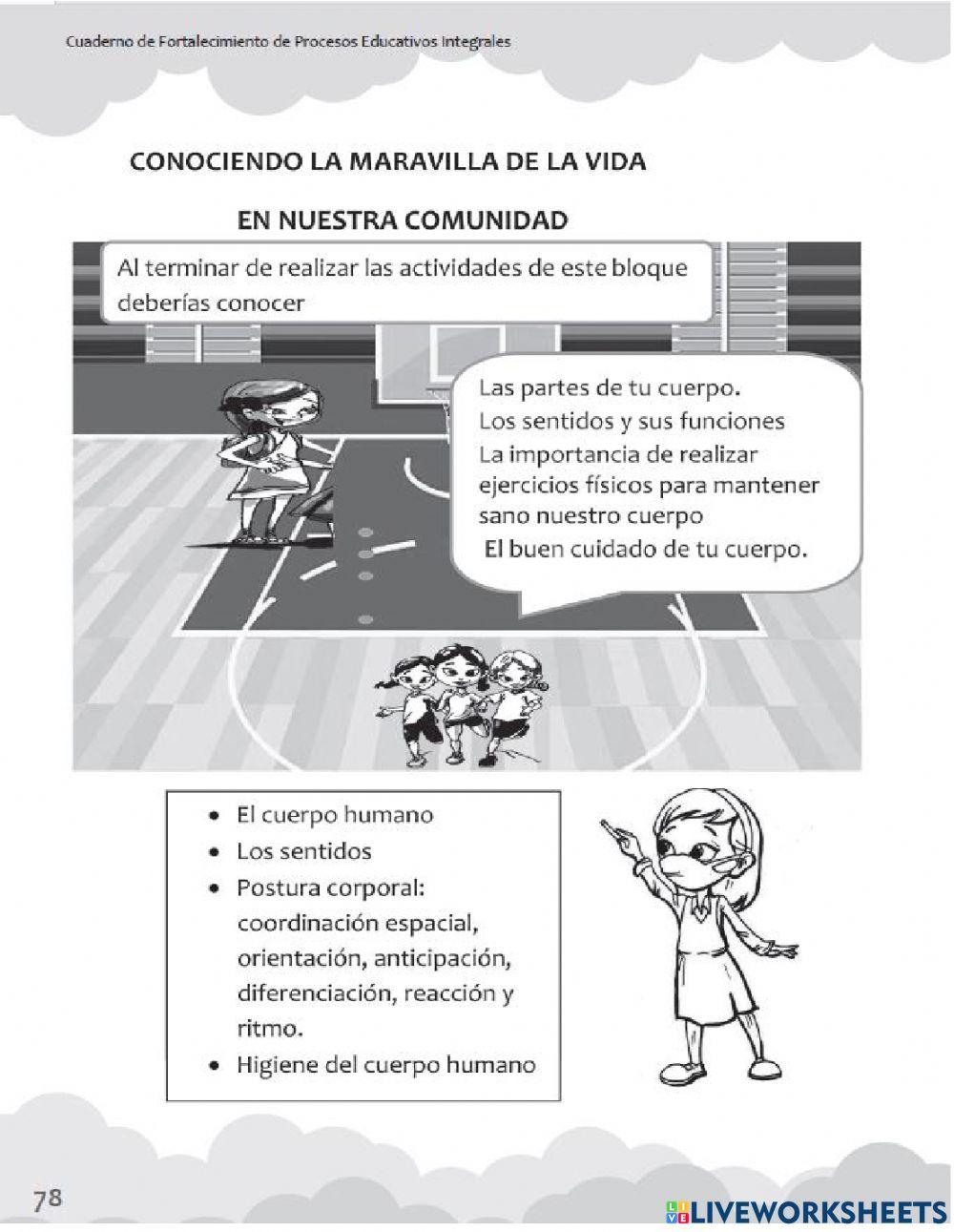 Partes del cuerpo humano