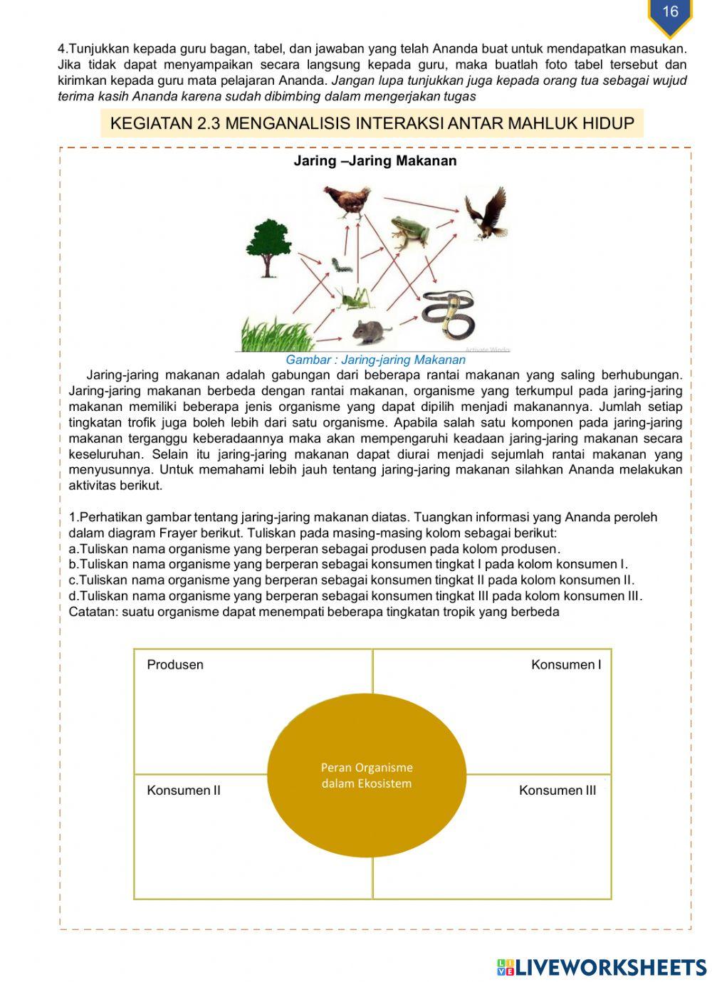 Mahluk hidup dan lingkunganya