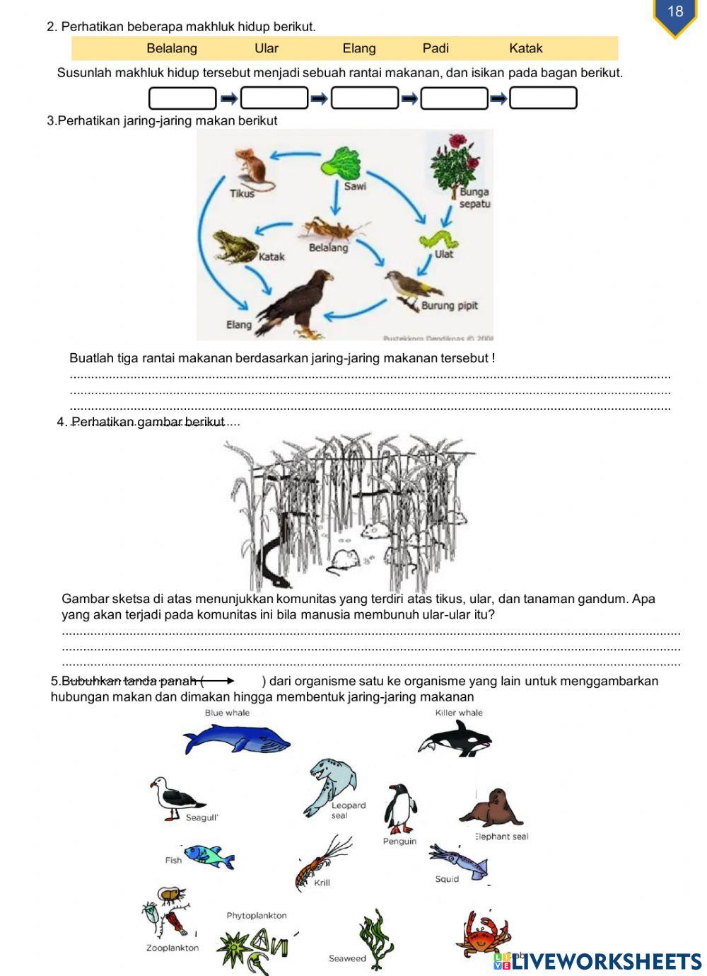 Mahluk hidup dan lingkunganya