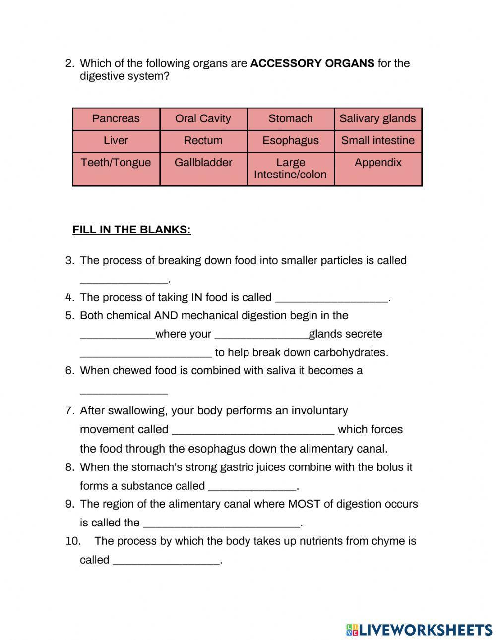 Digest This Digital WS