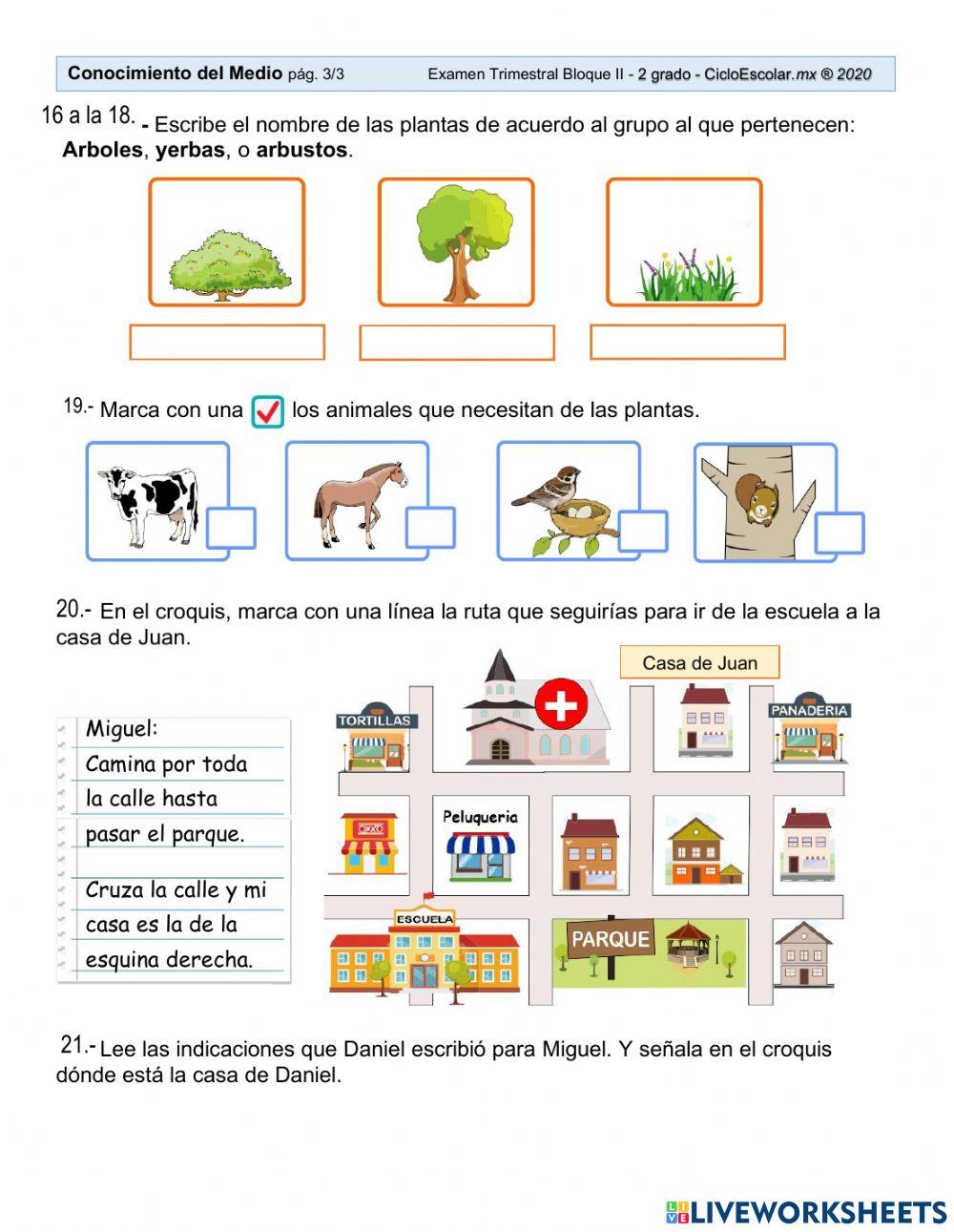 Examen Conocimiento del Medio 2° segundo trimestre