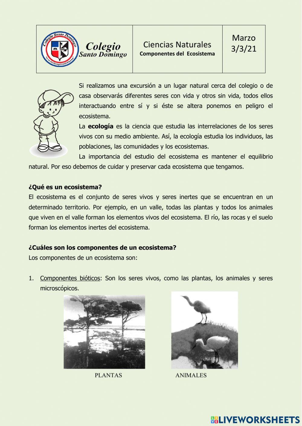 Componente del ecosistema