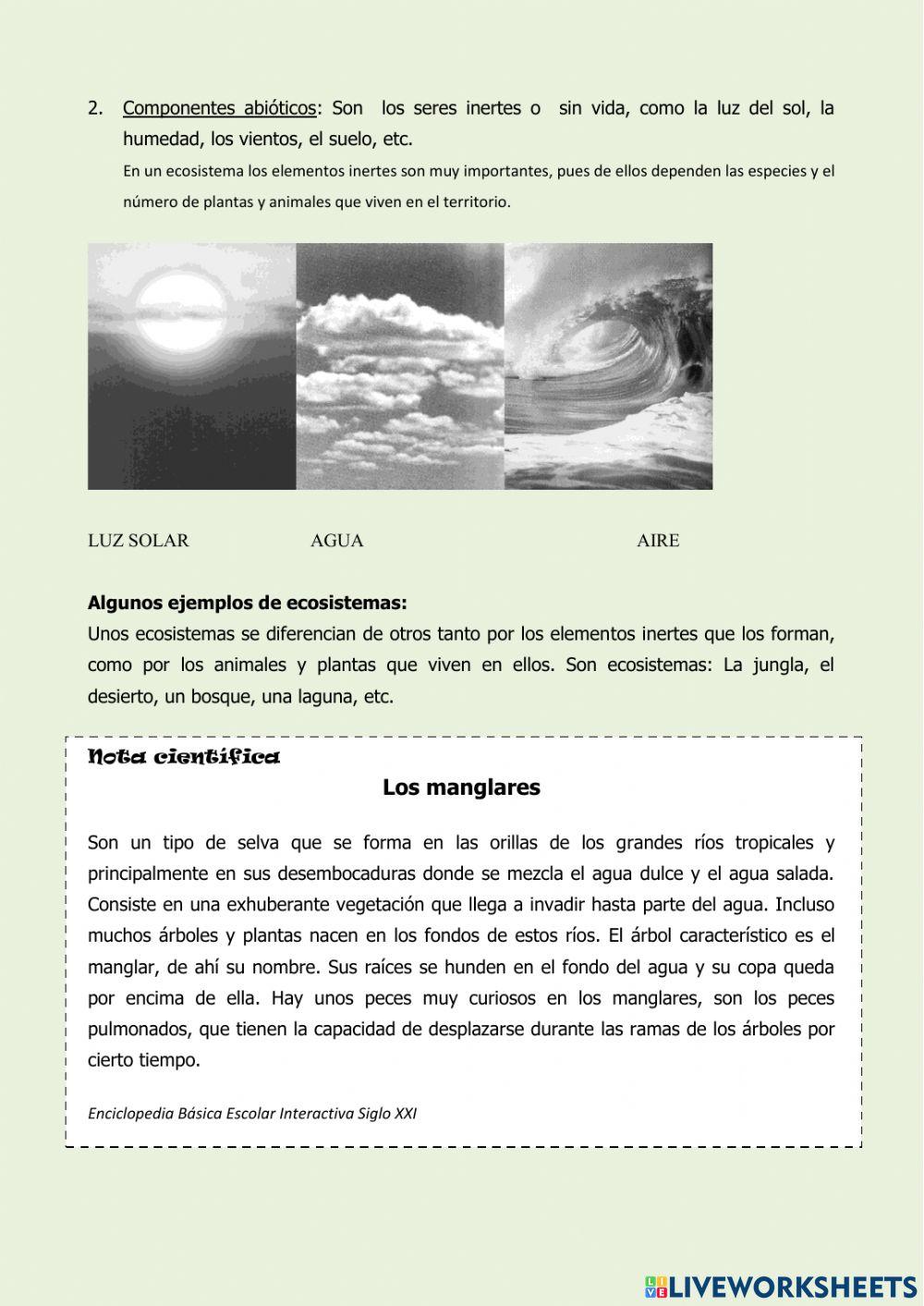 Componente del ecosistema