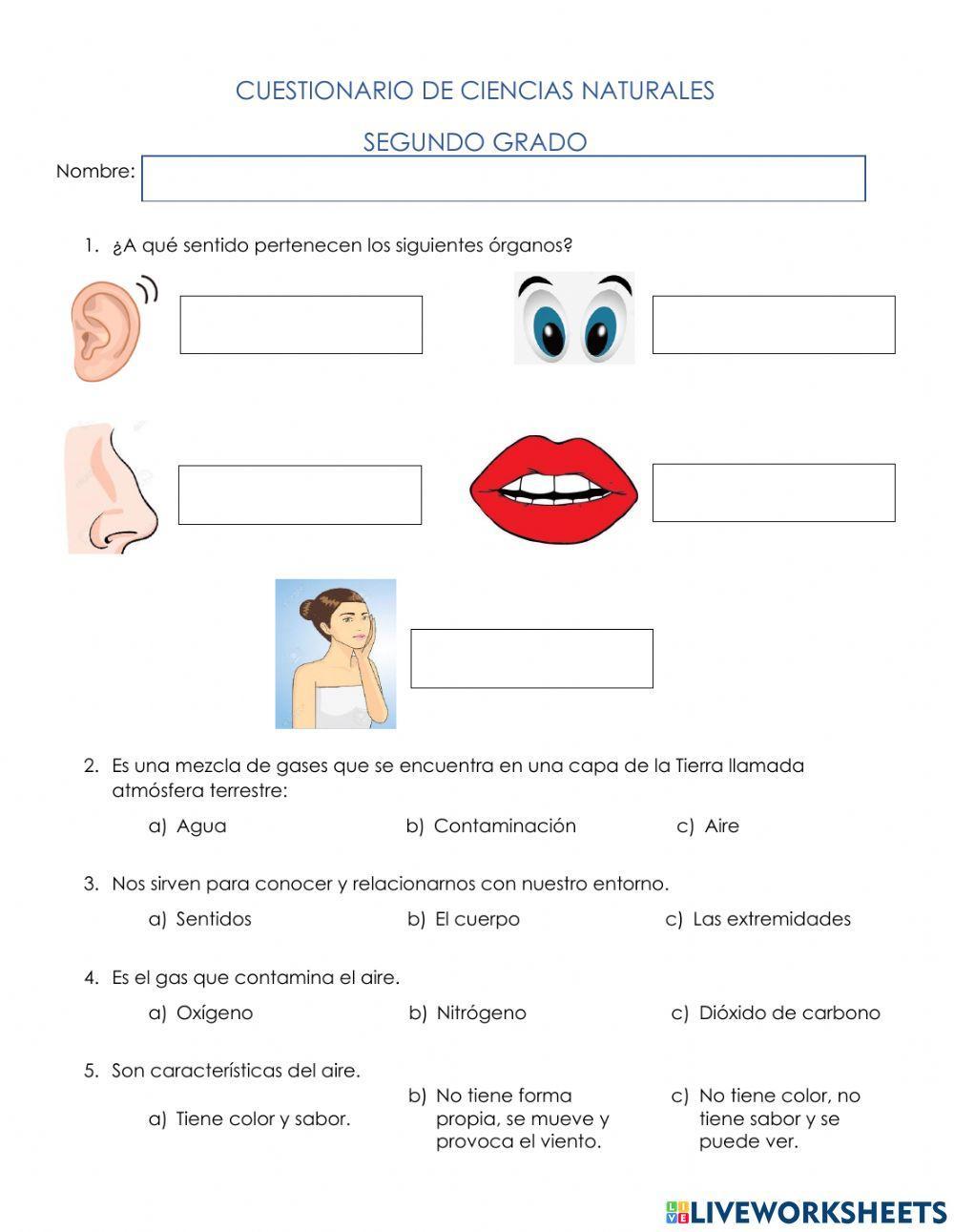 3° Cuestionario Ciencias Naturales