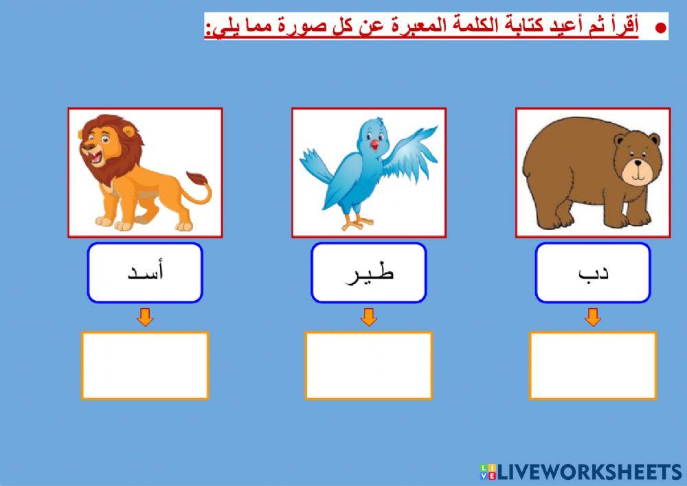 الثروة اللغوية - هشام وكمال في حديقة الحيوان