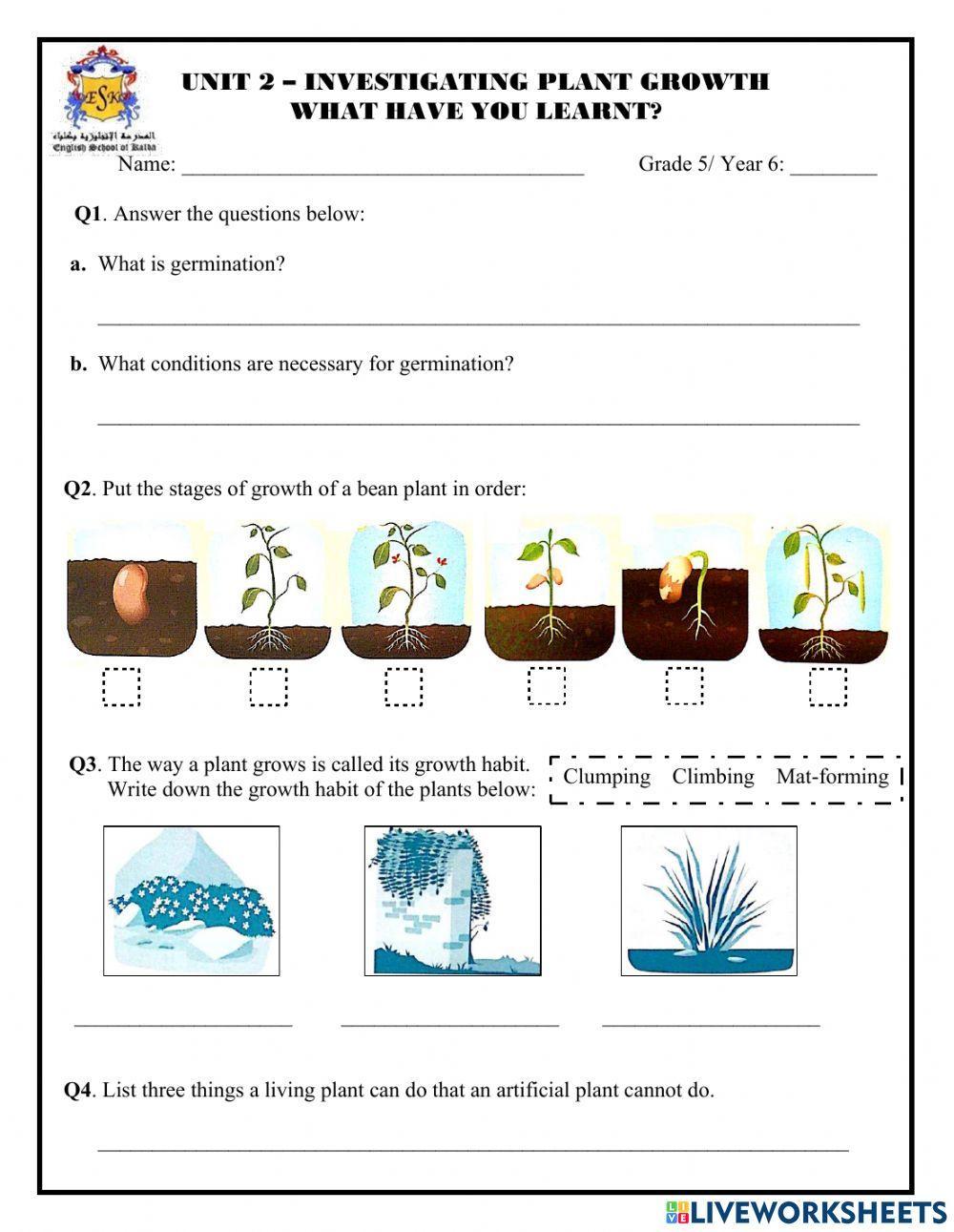 Unit 2: Investigating Plant Growth