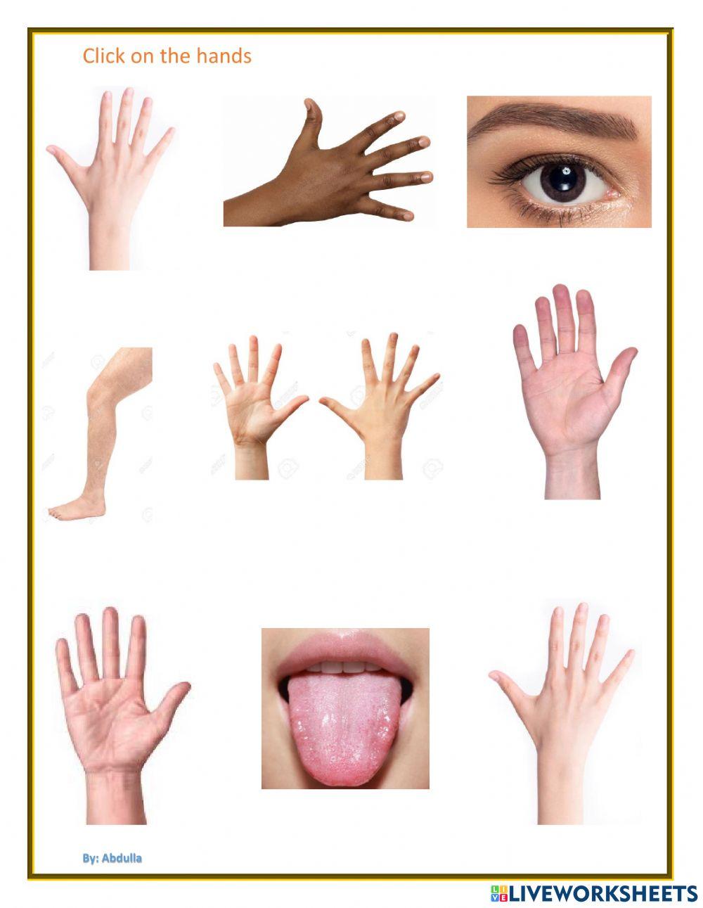 Identify hand