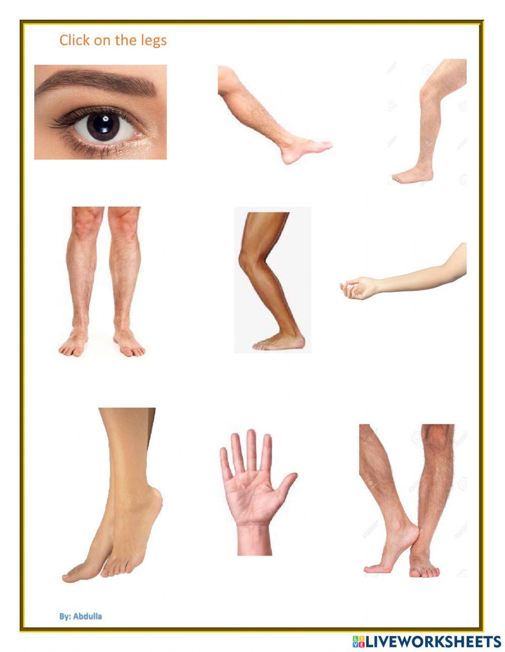 Identify legs