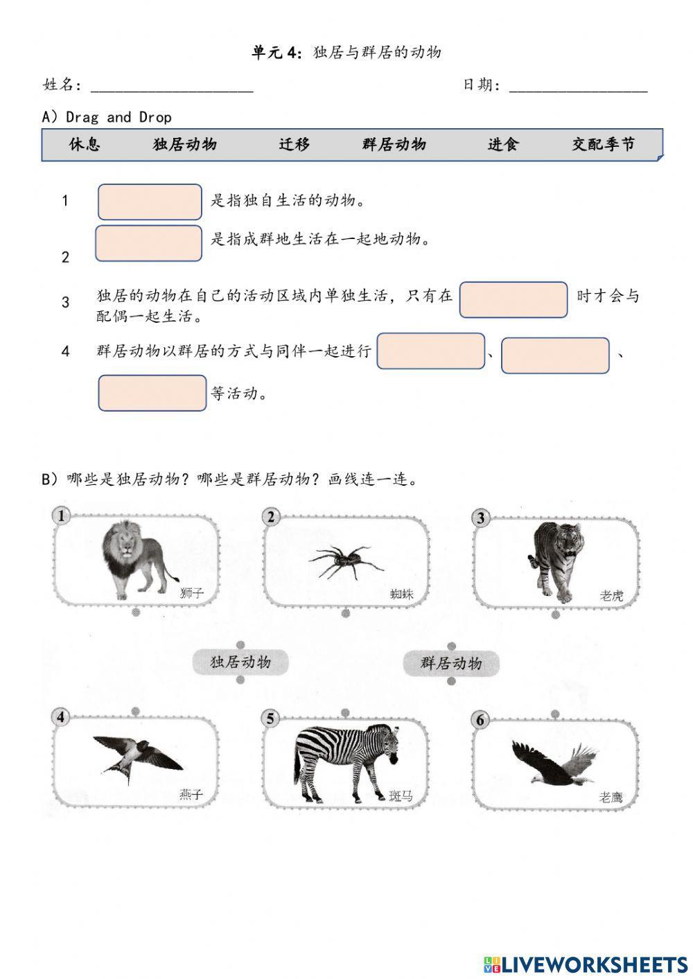 六年级科学：独居与群居动物