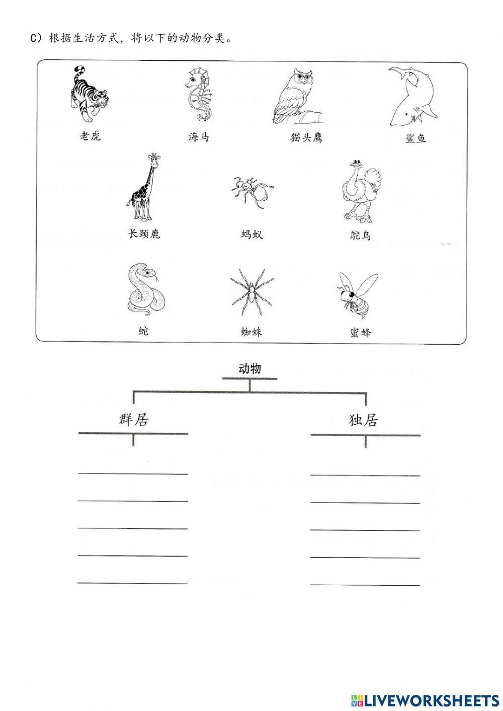 六年级科学：独居与群居动物