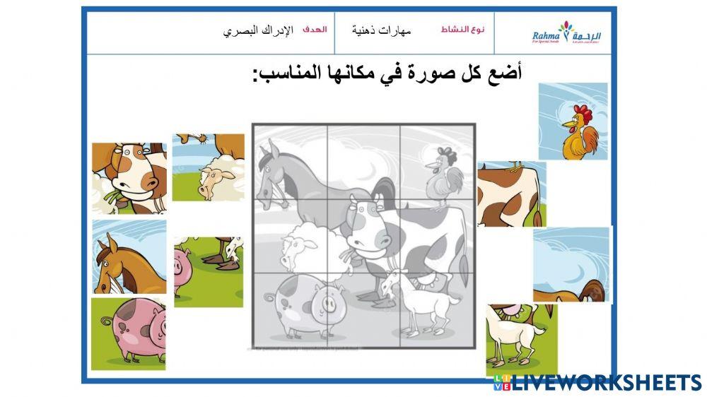 مهارات ذهنية1