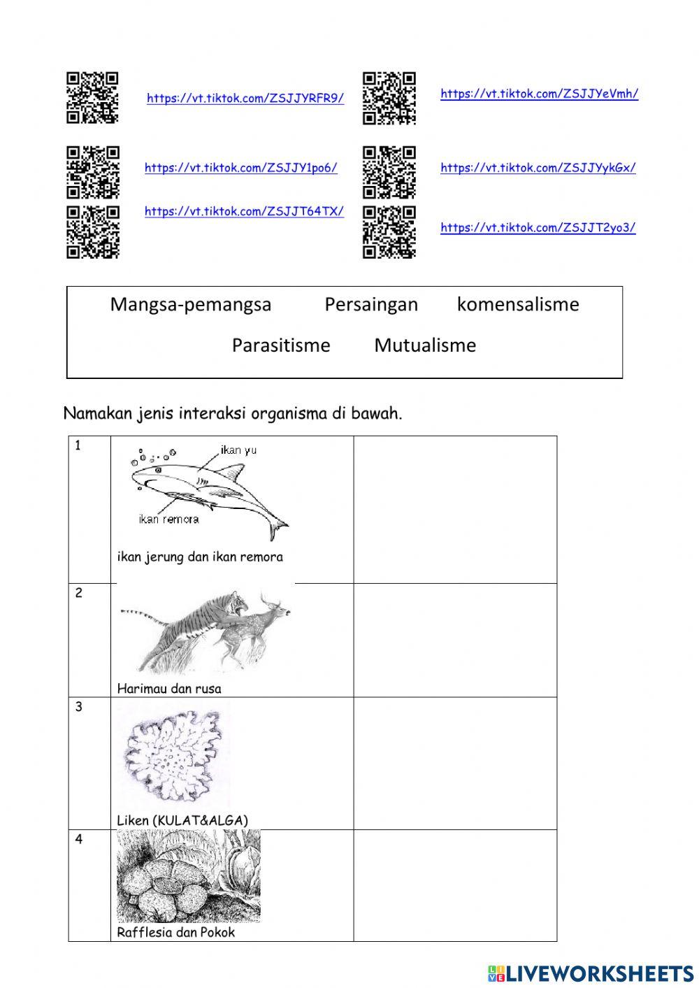 Interaksi antara organisma