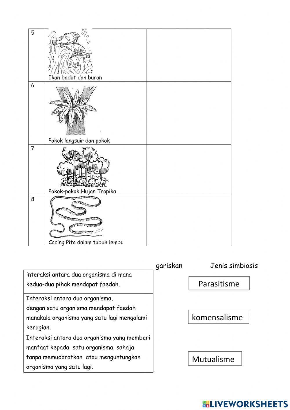 Interaksi antara organisma