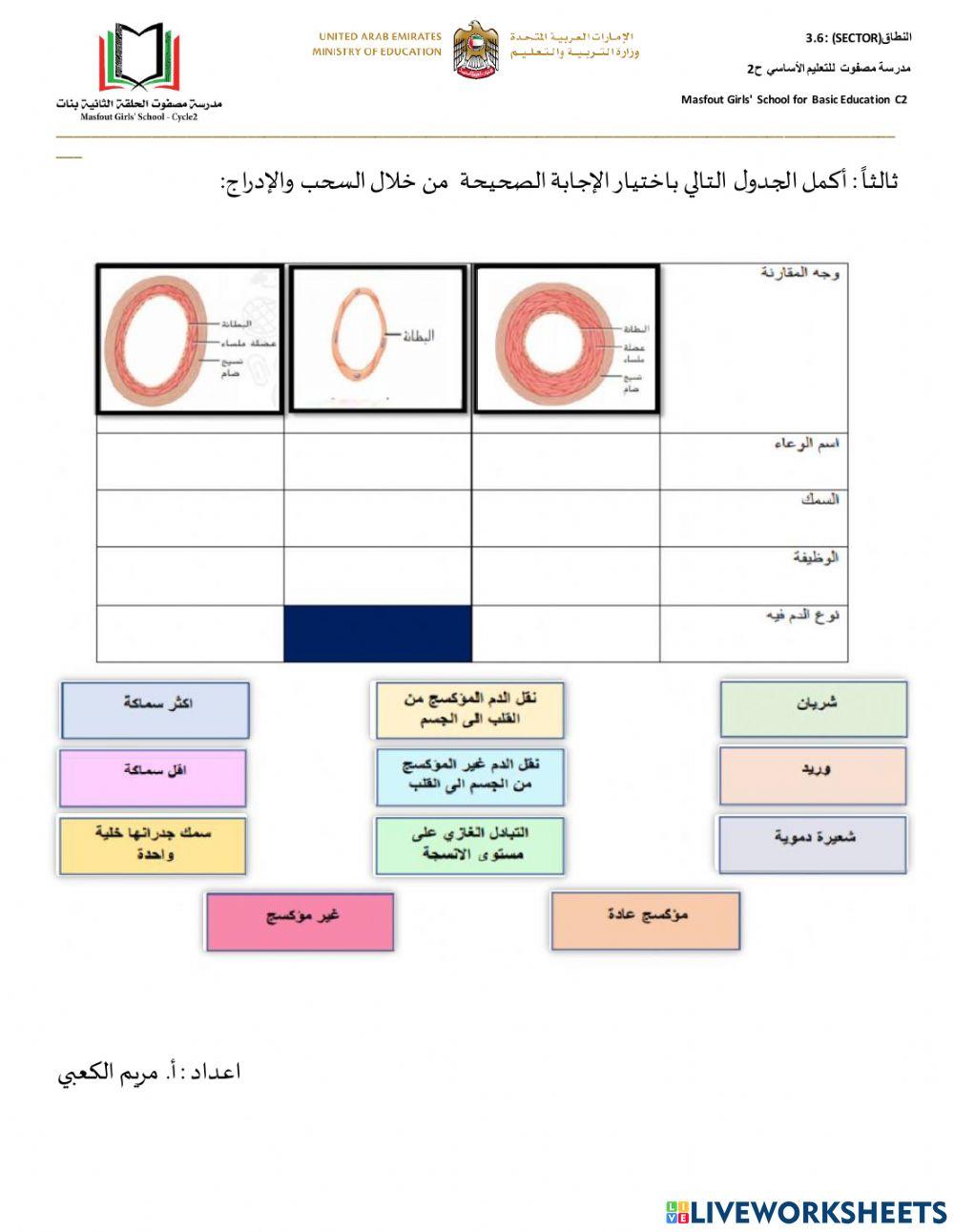 الأوعية الدموية