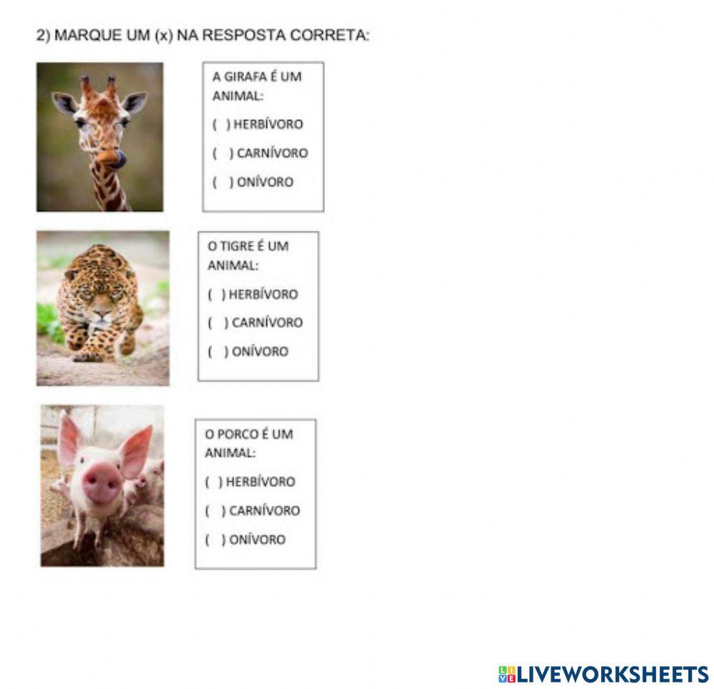 Animais carnívoros, onívoros e herbívoros