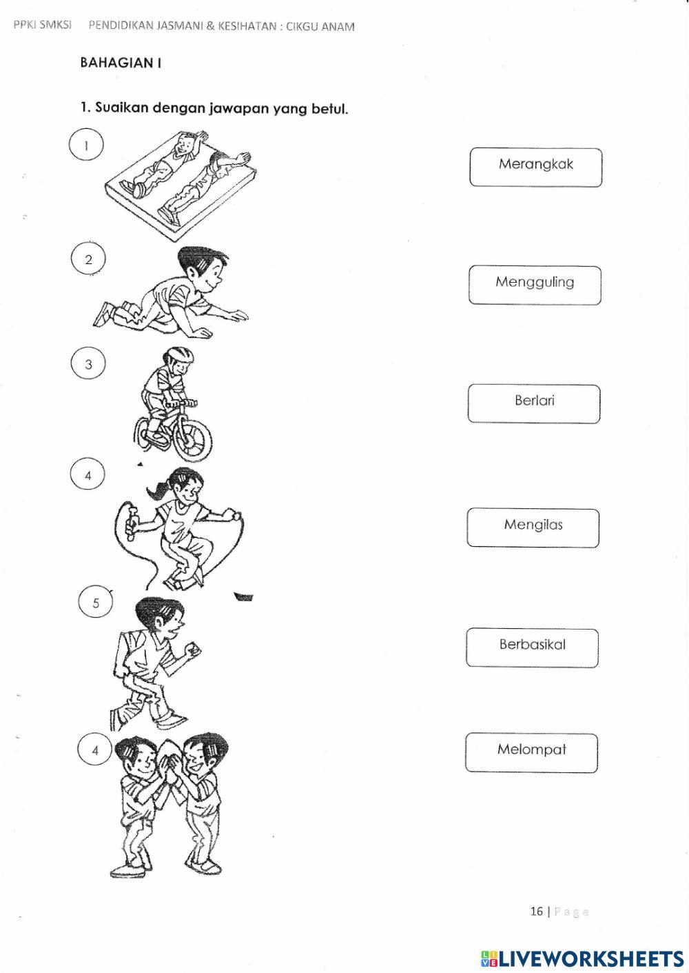 Pjk aktiviti kardiovaskular