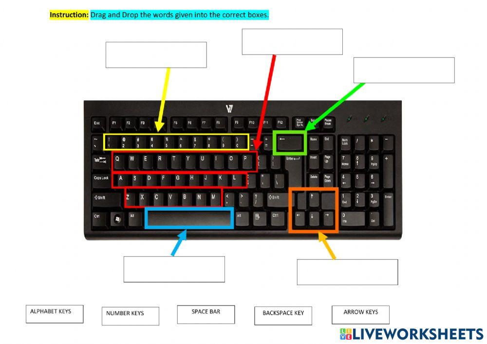 Parts of the keyboard worksheet for grade 1