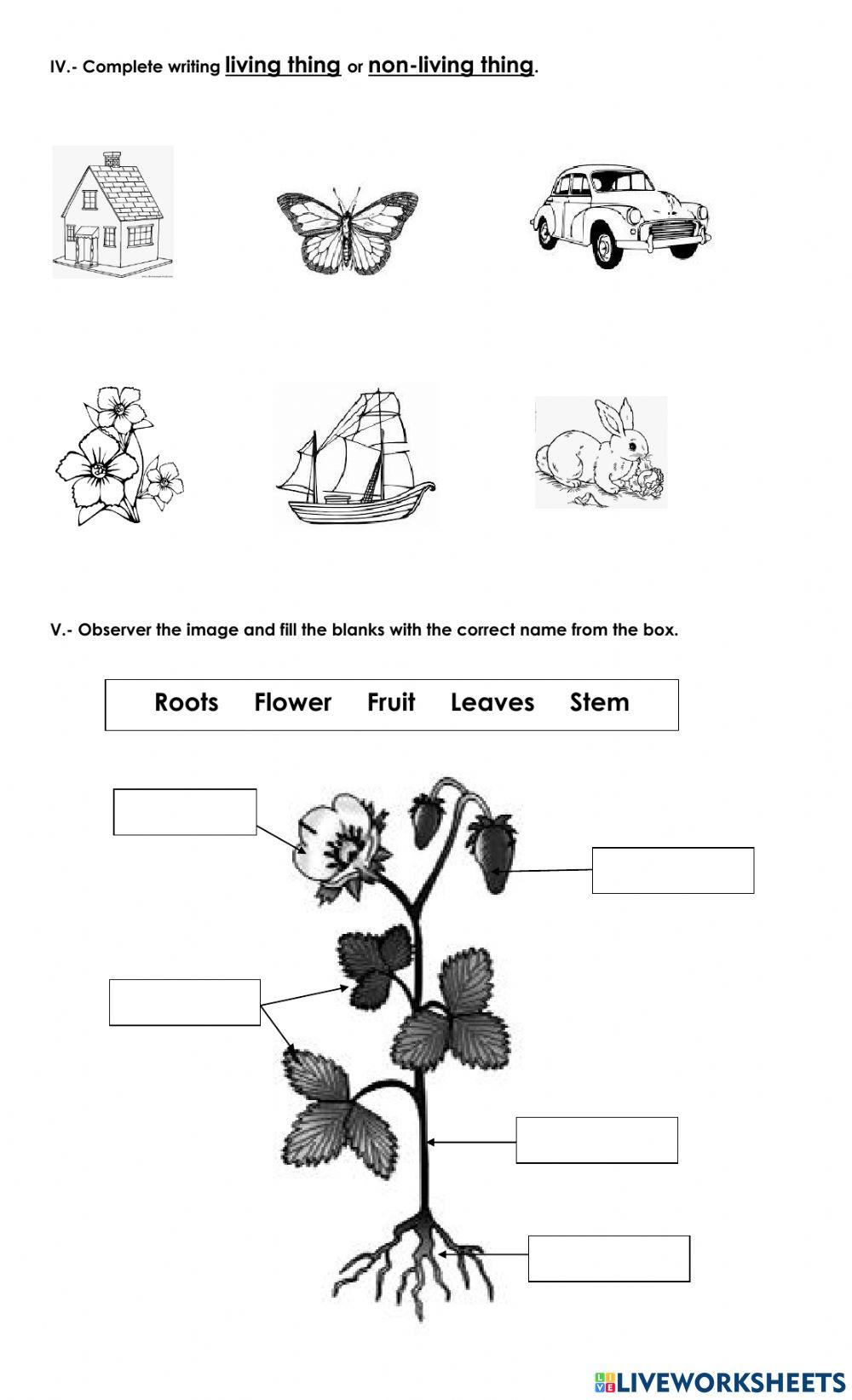 Science test 1