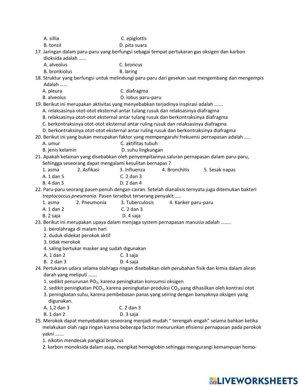 Ujian Tengah Semester 8-2