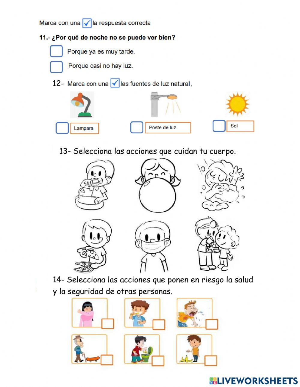 Evaluación conocimiento del medio segundo trimestre