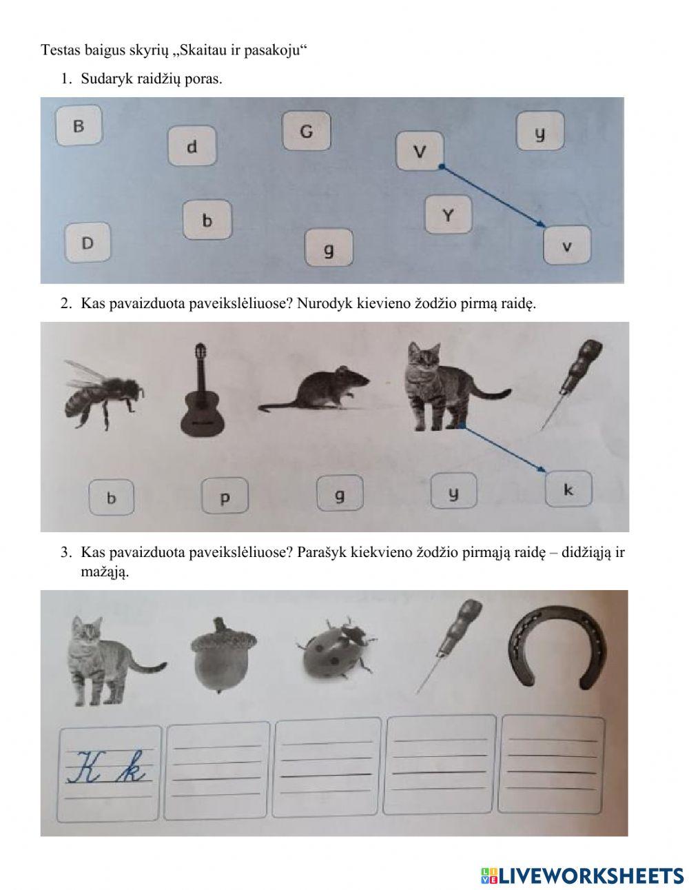 Testas Vakarei Skaitau ir pasakoju