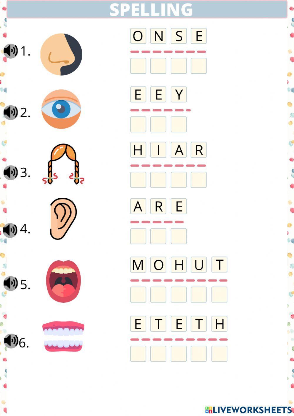 BODY PARTS Face Spelling