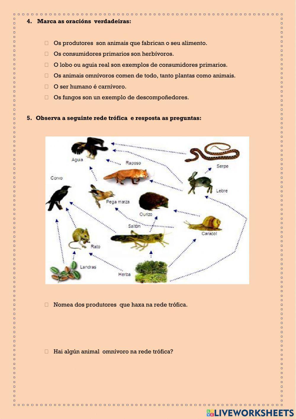 Ecosistema e as relacións entre os seres vivos