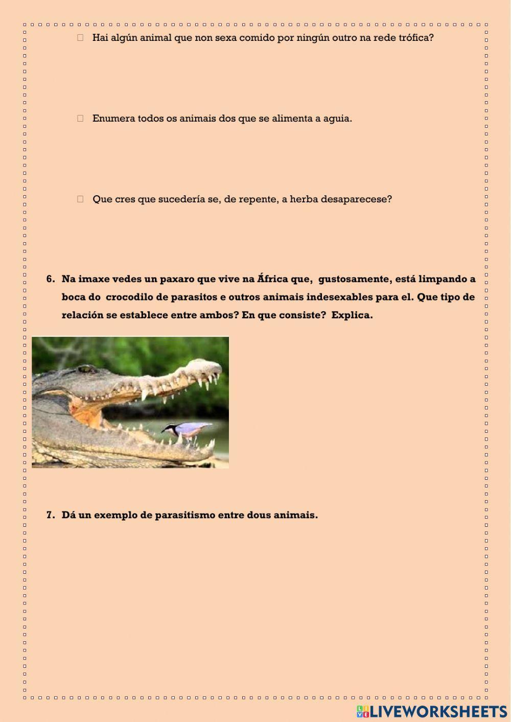 Ecosistema e as relacións entre os seres vivos