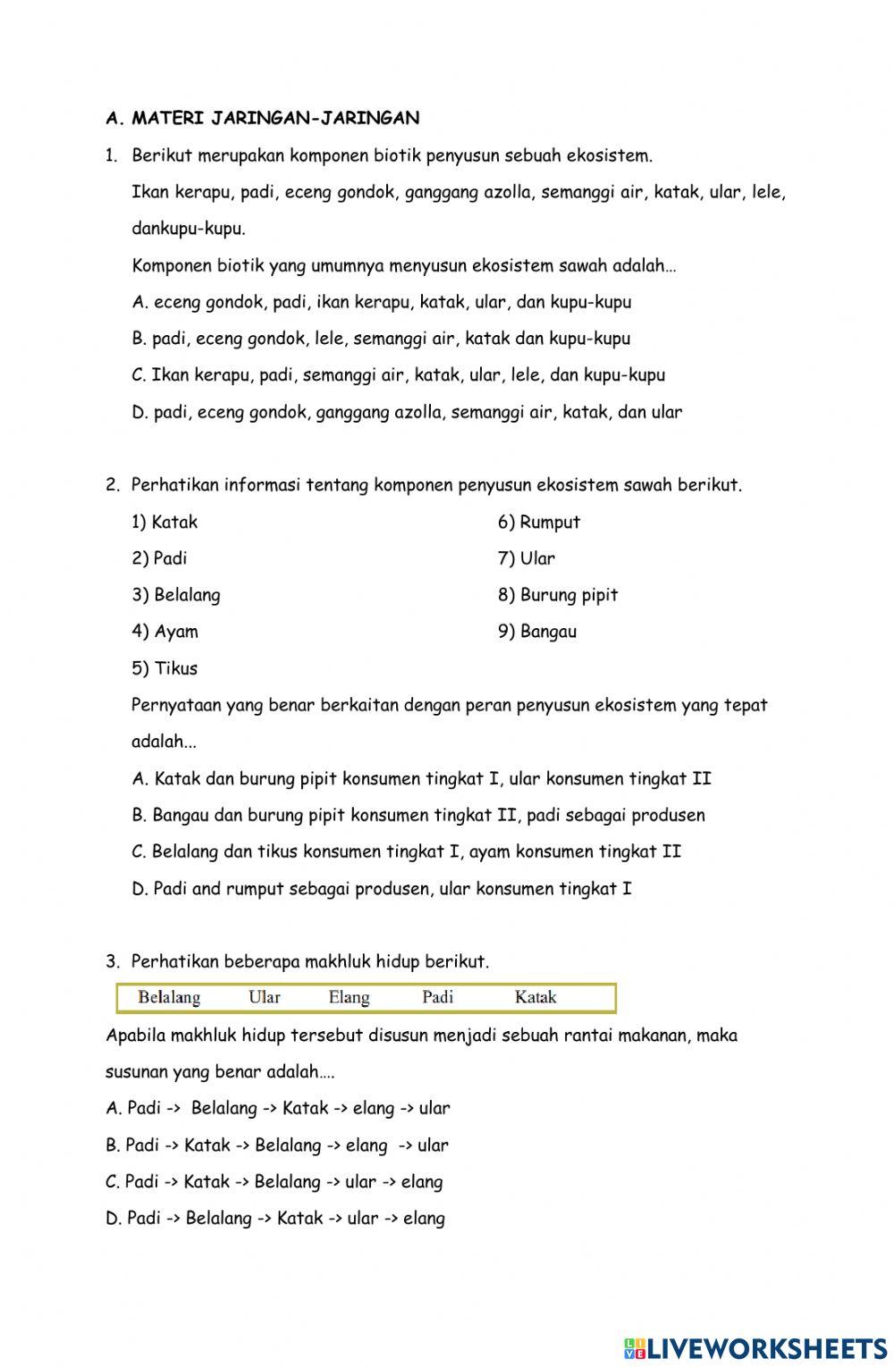 LKPD Tryout PTS Kelas 7