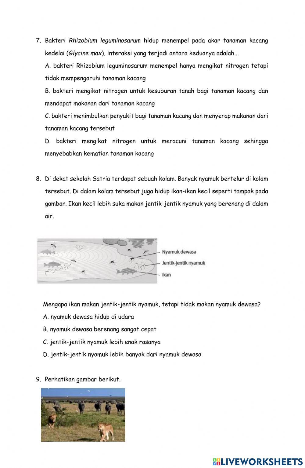 LKPD Tryout PTS Kelas 7