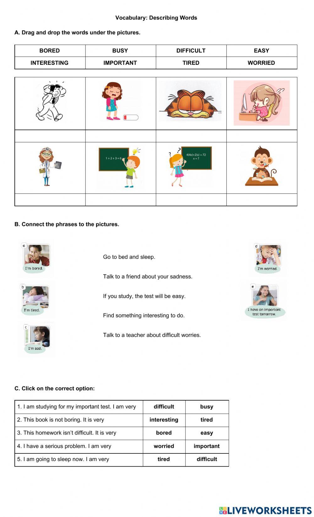 Vocabulary: Descibing Words